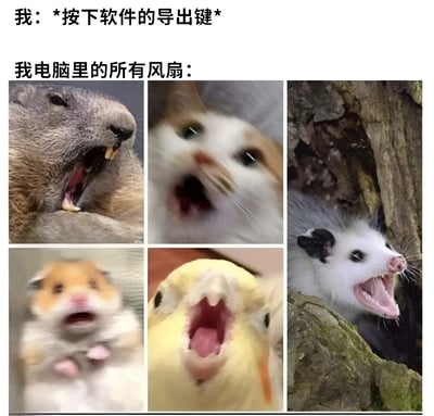图片上方文字分为两行，第一行为“我：*按下软件的导出键*”，第二行为“我电脑里的所有风扇：”。下方是2x3网格排列的六张动物图片，每张动物都张大嘴巴，表情夸张，仿佛在大声“尖叫”。通过将电脑风扇在高负载时（如导出文件）的高速运转拟人化为动物的尖叫，幽默地表现了电脑处理大型任务时硬件的“奋力工作”状态，引发用户共鸣。