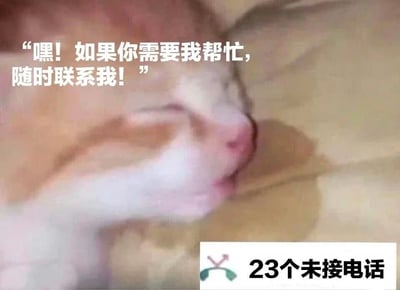图片展示了一只橘色猫咪的近景特写，它正闭眼熟睡在柔软的浅色背景上，表情安详。图片左上角有白色文字气泡：“嘿！如果你需要我帮忙，随时联系我！”，而右下角则叠加了一个带有电话图标的通知框，显示“23个未接电话”。通过猫咪熟睡的状态与“随时帮忙”的承诺形成鲜明反差，再结合大量未接电话的事实，营造出一种幽默的“口是心非”效果，调侃了那些嘴上说帮忙却实际无法联系到的情况。
