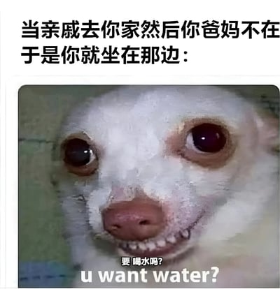 这张梗图用一只表情尴尬的小狗来幽默表现当亲戚来访而父母不在家时，自己不得不独自招待亲戚的窘迫社交处境。上方文字描述场景：'当亲戚去你家然后你爸妈不在于是你就坐在那边：'，下方是小狗的特写，配文'要喝水吗? u want water?'，完美捕捉了那种想打破沉默又不知道说什么的尴尬感。