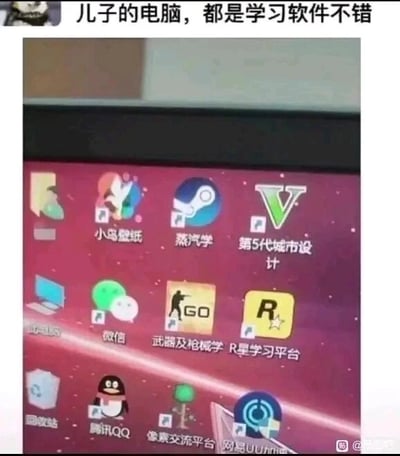 这是一张经过P图改编的电脑桌面屏幕截图，顶部配有文字“儿子的电脑，都是学习软件不错”，图中的软件图标实际都是知名的游戏相关工具或游戏平台：Steam游戏平台被改名为“蒸汽学”，GTA5游戏被改名为“第5代城市设计”，CSGO游戏被改名为“武器及枪械学”，R星的游戏平台被改名为“R星学习平台”，像素鸟相关内容被改名为“像素交流平台”，同时桌面上还有小鸟壁纸、微信、腾讯QQ、网易UU加速器等正常软件。创作者利用谐音和改名的方式，将游戏软件伪装成学习类工具，制造出孩子为了玩游戏糊弄家长的搞笑反差效果，属于典型的家庭趣味梗图。