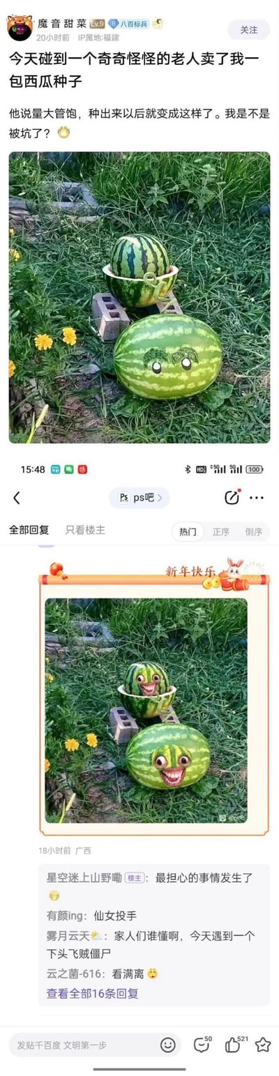 百度贴吧用户“魔音甜菜”发帖称，从一位奇怪老人手中购买了西瓜种子，种出的西瓜被画上简单表情后形似《植物大战僵尸》里的西瓜投手，随后有网友将图片P成游戏里西瓜投手的搞怪大笑脸，楼主回复“最担心的事情发生了”，其他网友也跟着玩起游戏相关的梗，整个帖子充满搞笑的玩梗氛围。