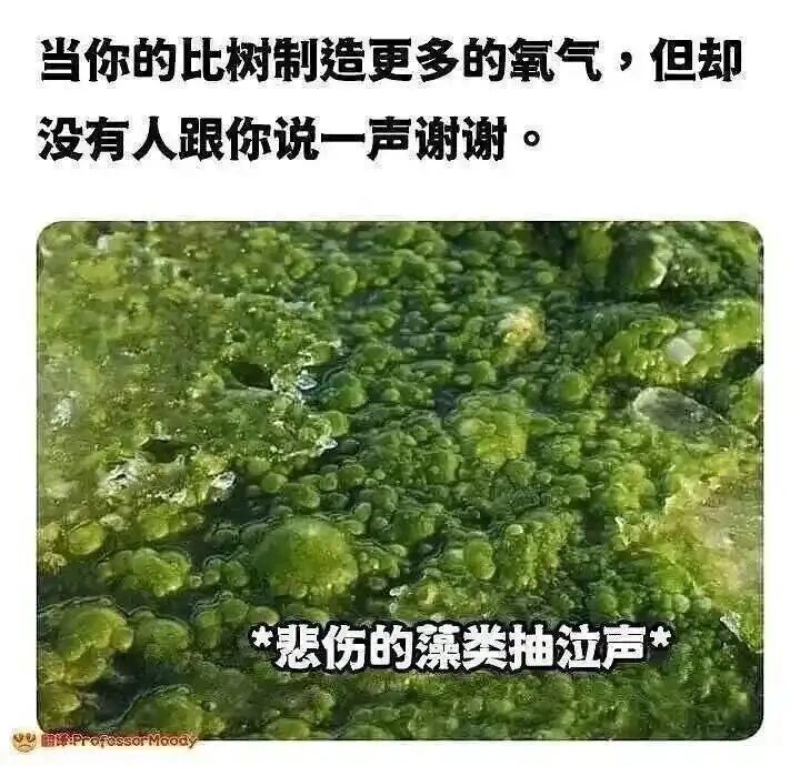 自然界造氧生物