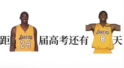 这是一张专为24届高考生制作的趣味倒计时梗图，通过拼接身穿24号和8号湖人球衣的科比·布莱恩特的图片，巧妙组成「距24届高考还有8天」的文案，将科比的经典球衣号码与高考届数、倒计时天数对应，玩了数字契合的梗，既精准传达高考倒计时的信息，又借助篮球明星的元素增添轻松趣味，适合用来给高考生加油打气。