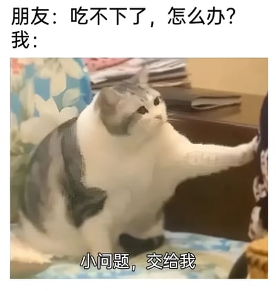 这是一张幽默梗图，上方文字显示朋友问"吃不下了，怎么办？"，下方是一只灰白相间的猫伸出爪子，配文"小问题，交给我"。图片通过猫咪自信的姿态和文字结合，幽默地表达了愿意帮忙解决吃不下的食物的场景，展现了朋友间轻松有趣的互动。