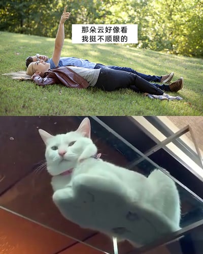 这是一张上下拼接的趣味搞笑图，上半部分呈现了一对男女躺在户外的草地上，男性面带笑意手指向天空，配文“那朵云好像看我挺不顺眼的”，引导观者想象天空中的云带有不满的表情；下半部分是网络爆红的“mur猫”梗图，这只白猫从玻璃下方被拍摄，视角导致它的表情看起来格外嫌弃、不爽，正好对应上半部分文字里“看我不顺眼”的描述，将想象中云的表情具象成猫咪的不爽脸，形成巧妙的趣味联动，制造出荒诞搞笑的效果。