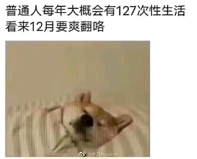 图片上方配有文字梗，调侃普通人每年大约127次性生活，自己到12月要赶进度“爽翻”，表达了对生活节奏的自嘲和调侃。下方是一只doge（柴犬）虚脱躺床的表情包，显得疲惫又无奈，增强了幽默和自黑效果。整体风格轻松搞笑，透着一点年终总结和生活压力下的戏谑。图中文字有轻微性暗示，用“爽翻”做了趣味双关。