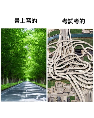 左侧为一条笔直清晰的林荫大道，象征'书上写的'知识；右侧为复杂交错的高速公路立交桥，象征'考试考的'内容。通过鲜明对比幽默展现理论与考试难度的差距。