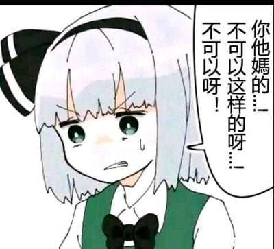 这是一张基于《东方Project》角色魂魄妖梦创作的二次改编表情包。图中的魂魄妖梦眉头紧皱，眼角含泪，面露愤怒又带着委屈的神情，右侧的对白气泡里写着“你他妈的...不可以这样的呀...不可以呀！”，用带有脏话的急切语气，强烈地表达出劝阻、反对的情绪，适合在聊天场景中用来传递对他人行为的不满与制止态度。