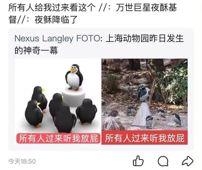 这张梗图由两张图片拼接而成，左侧是一群企鹅玩具围绕着一个站在白色基座上的企鹅，右侧是上海动物园内一群鸟类围绕着一个白色锥形物体。图片上方配有夸张的文字“所有人给我过来看这个 //: 万世巨星夜酥基督//: 夜酥降临了”，中间标注“Nexus Langley FOTO: 上海动物园昨日发生的神奇一幕”，两张图片下方均有红色背景文字“所有人过来听我放屁”，整体营造出幽默搞笑的效果。