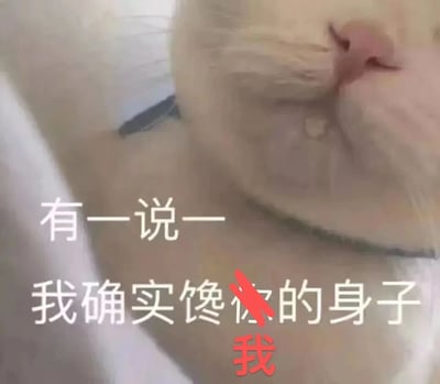 图片为一只白色猫咪的面部特写，聚焦于鼻子和嘴巴区域，猫咪表情显得有些渴望。画面下方有白色文字“有一说一 我确实馋你的身子”，其中“你”字被红色叉号划掉，下方用红色字体添加“我”字，形成幽默的自我调侃效果，将原本指向他人的“馋身子”改为指向自己，营造出俏皮搞笑的氛围。