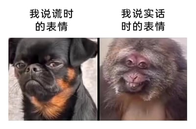 这是一张左右分栏的对比式搞笑表情包，左侧是一只黑棕配色的小狗，它眉头微皱，表情严肃紧绷，神态看起来心虚又强装镇定，上方配文“我说谎时的表情”；右侧是一只猴子，它咧嘴露出牙齿，表情滑稽又带着憨傻感，上方配文“我说实话时的表情”。这张图用动物的神态拟人化，生动调侃了很多人在说谎时心虚故作镇定，说实话时则毫无顾忌、放飞自我的情绪反差，十分贴合日常社交中人们的情绪状态，搞笑又接地气。