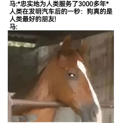 这是一张幽默讽刺类梗图，上方文字描述马为人类服务了3000多年，而人类在发明汽车后立刻称狗为最好的朋友。下方配图是一匹马从马厩窗口向外看，表情显得失望和无奈，形成鲜明对比，幽默地表现了技术变革对传统关系的影响。