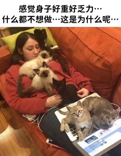 图片中一位穿着红色上衣的女性躺在橙色沙发上，身上和腿上被多只猫咪环绕：一只浅色猫咪趴在她胸前，一只黑色猫咪依偎在她手臂旁，腿上的笔记本电脑上还趴着两只灰棕色猫咪。她双眼微闭，表情显得十分疲惫。图片上方配有文字“感觉身子好重好乏力…什么都不想做…这是为什么呢…”，生动展现了被猫咪“包围”下的慵懒与无力感，充满生活气息和幽默感。