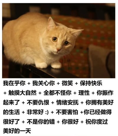 图片上半部分是一只橘色猫咪，它蹲坐在深色物体边缘，身体圆润，耳朵竖起，眼睛睁大凝视前方，表情平静温和。下半部分是一整块黑色文字，内容为一系列连续的安慰短语：“我在乎你 + 我关心你 + 微笑 + 保持快乐 + 触摸大自然 + 全都不怪你 + 理性 + 你振作起来了 + 不要仇恨 + 情绪安抚 + 你拥有美好的生活 + 非常好 :) + 不要害怕 + 你已经做得很好了 + 不是你的错 + 你很好 + 祝你度过美好的一天”。整体通过可爱的猫咪形象搭配温暖的文字，营造出治愈、安抚的氛围，旨在传递积极的情感支持。