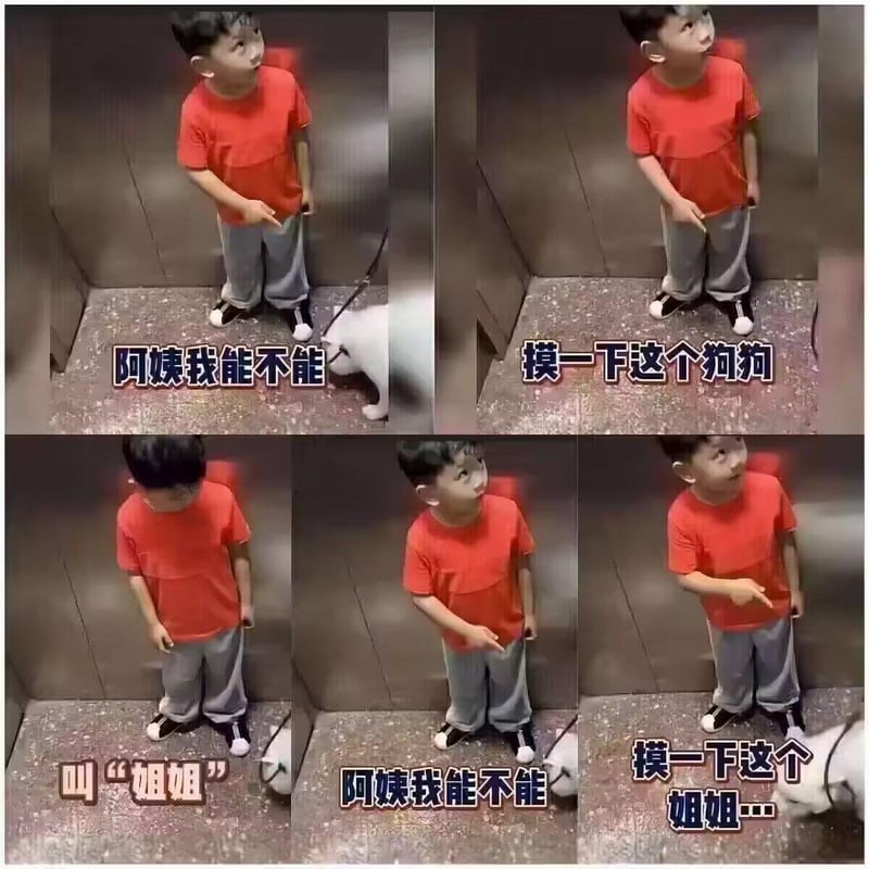 白色小狗