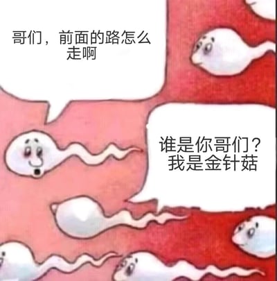 这是一幅荒诞搞笑的静态卡通梗图，画面设定在类似人体内部的红色通道场景中，多个外形为精子的形象正在游动，其中一个精子面带微笑，将外形相似的金针菇认成了同伴，上前问路：“哥们，前面的路怎么走啊”，而被认错的金针菇则无奈回应：“谁是你哥们？我是金针菇”。图中利用金针菇和精子外形相似的特点，通过认错对象的反差感制造出重口味的搞笑效果，属于网络上流行的趣味恶搞内容，以生理相关的趣味联想引发笑点。