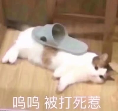 这张图展示了一只猫咪侧卧在地板上，背上扣着一只拖鞋，猫看起来一脸无奈或委屈。画面下方有文字“咪咪 被打死惹”，用可爱和俏皮的方式表达了猫被轻轻拍打后“装死”或躺平的搞笑情景。这个梗自带夸张表现效果，常用于表达被生活、学习或工作等“打击”后选择摆烂或躺平的心态，也有“装死”式卖萌的意思。

谐音梗/暗示：无直接谐音，但“被打死惹”用网络流行语夸张化表达，很适合吐槽时使用。