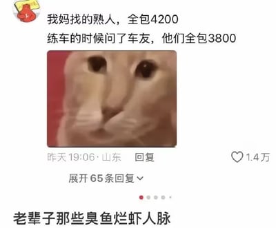 这是一张经过二次创作的社交媒体评论截图，上方是一名定位在山东的网友发布的评论，内容为自己母亲找熟人报名驾校全包价格为4200元，练车时询问其他车友得知其他人的全包价格仅3800元，评论搭配了一张睁着大眼睛、神情错愕无语的橘猫表情包，该评论获1.4万点赞，另有65条可展开回复。图片最下方额外添加了配文“老辈子那些臭鱼烂虾人脉”，直接点出吐槽长辈所谓的熟人资源反而会让人吃亏的核心观点。