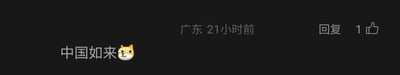这是一张深色背景的社交媒体评论区截图，展示了一条来自广东地区的用户评论，该评论发布于21小时前，内容为“中国如来”并搭配了一个斜眼猫咪表情，评论右侧设有“回复”按钮，同时显示该评论获得了1个点赞。整体界面风格简洁，是典型的社交平台用户留言展示样式，表情的搭配让评论带有一丝戏谑感。