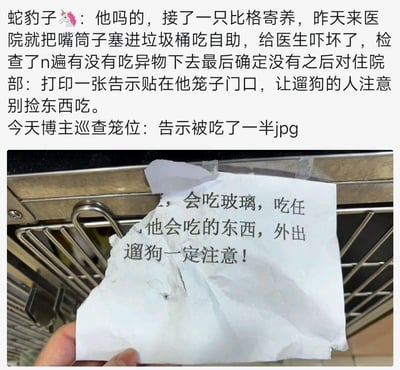 这是一则关于贪吃比格犬的搞笑趣事：博主寄养了一只比格犬，这只狗到医院就钻进垃圾桶“吃自助”，医生检查后让贴告示提醒大家注意它乱吃东西，结果这只比格犬把提醒自己的告示啃掉了一半。剩下的告示上还写着“会吃玻璃，吃任何他会吃的东西，外出遛狗一定注意！”，这种“明知故犯”的行为充满反差感，让人哭笑不得，完美体现了比格犬“啥都吃”的知名属性。