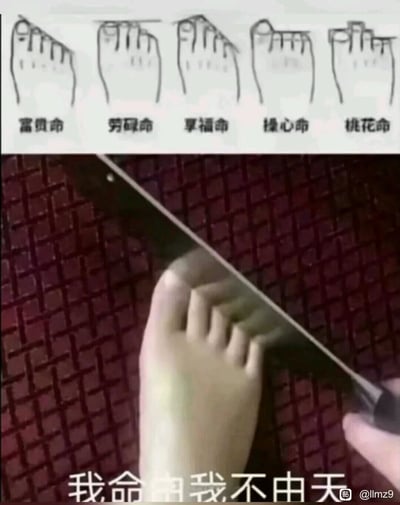 这是一张上下拼接的对比图文，上方是五组手绘脚型图，分别对应民间命理说法里的“富贵命”“劳碌命”“享福命”“操心命”“桃花命”，通过脚趾的不同长度形态来定义所谓的命运；下方是一张真人实拍图，一只脚前横放着一把刀，图片底部配有文字“我命由我不由天”，以戏谑夸张的方式表达不认同这种脚型算命的迷信说法，主张自己掌控命运的态度，充满了搞笑和反叛的意味。