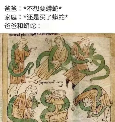 这是一张幽默梗图，上方文字描述了家庭情景：爸爸明确表示不想要蟒蛇，但家庭还是买了，结果“爸爸和蟒蛇”的状态用一幅中世纪手稿风格的插图呈现——图中几位人物被绿色的蛇缠绕，表情和动作显得无奈又狼狈，形成古今对比的搞笑效果，展现了家庭成员意见不合后无奈接受的趣味日常。