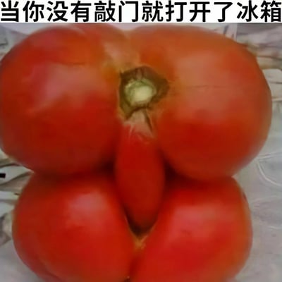 这张图是一张趣味搞笑梗图，主体是一颗畸形生长的红色番茄，其外形酷似一个被突然撞见的人形，图的顶部配有文字“当你没有敲门就打开了冰箱”，将番茄拟人化，营造出一种“打开冰箱没敲门，撞见了正在里面的‘人’”的社死场景，通过蔬果的奇特外形和文字的巧妙结合，制造出幽默的反差感，让人联想到日常中没敲门闯入私人空间的社死瞬间，充满趣味。