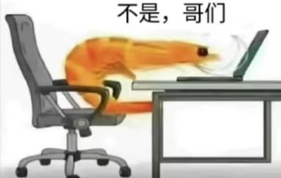 这是一张P图改编的搞笑梗图，画面中一只熟制的大虾被拟人化处理，坐在办公转椅上，身体前倾朝向桌上的笔记本电脑，模仿人类办公的姿态。图片上方配有口语化文字‘不是，哥们’，用荒诞的拟人形象搭配网络流行的吐槽句式，营造出滑稽离谱的效果，既可以用来表达对工作的无奈吐槽，也能传递惊讶、不敢置信的情绪，其中大虾的形象还暗含谐音梗，‘虾’谐音‘瞎’，调侃打工人‘瞎忙活’的职场状态。