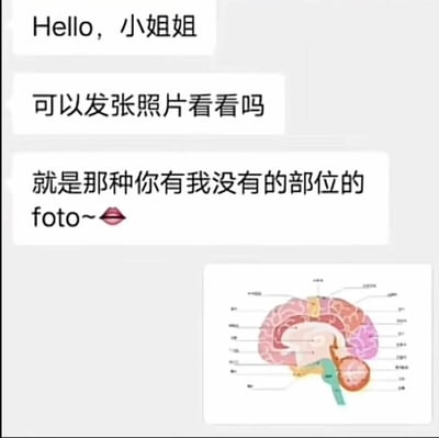 这是一张幽默梗图，展示了一段聊天记录和一张脑图。聊天记录中有人发送消息："Hello，小姐姐"、"可以发张照片看看吗"和"就是那种你有我没有的部位的 foto~👄"。右下角配有一张详细的人脑解剖图，通过双关语制造笑点，暗示所指的"你有我没有的部位"实际上是大脑。