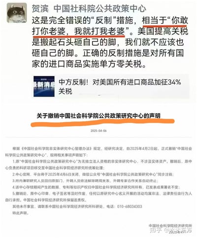 这是一张多图拼接的内容截图，上方是标注为「贺滨 中国社科院公共政策中心」的言论，用「你敢打你老婆，我就打我老婆」的比喻批评中方对美加征关税的反制措施，主张对所有国家进口商品实施单方零关税；中间是「中方反制！对美国所有进口商品加征34%关税」的新闻提示；下方是中国社会科学院经济研究所2025年4月6日发布的《关于撤销中国社会科学院公共政策研究中心的声明》，详细说明了撤销该中心的各项后续安排，包括项目移交、平台关闭、人员安置等内容。图中没有双关或谐音梗。
