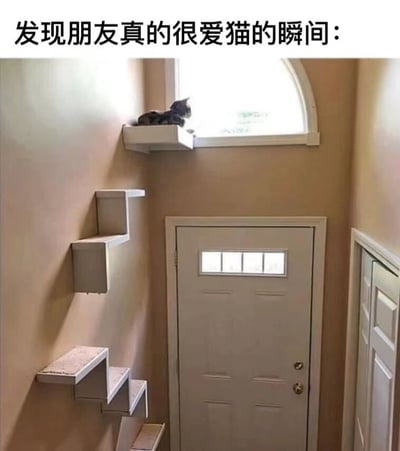 图片展示了一个走廊场景，左侧墙壁上安装了多个白色的壁挂式猫架，一只小猫正悠闲地趴在最顶层的架子上，靠近拱形窗户。图片顶部配有文字'发现朋友真的很爱猫的瞬间：'，幽默地揭示了朋友为猫咪精心布置家居环境的细节，体现了对猫咪的喜爱。整个画面温馨治愈，展现了宠物主人对猫咪生活空间的用心设计。