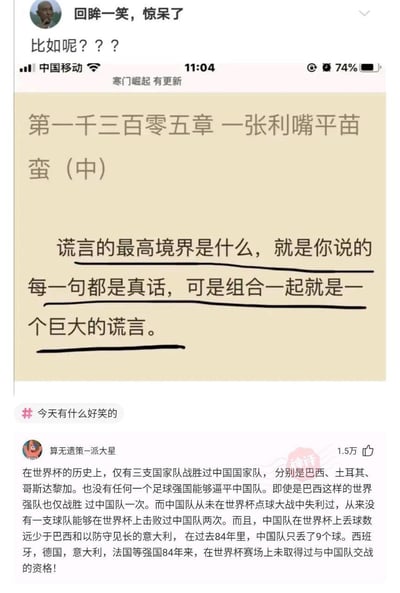 这张图是社交媒体的截图内容，上方是小说《寒门崛起》的段落，划线句子为“谎言的最高境界是什么，就是你说的每一句都是真话，可是组合一起就是一个巨大的谎言。”下方是用户「算无遗策-派大星」的评论，用一系列关于中国男足世界杯的真实数据：仅巴西、土耳其、哥斯达黎加战胜过中国队；无强队逼平中国队；巴西仅胜一次；世界杯点球从未失利；无球队两次击败中国队；丢球数远少于巴西、意大利；84年仅丢9球；西班牙等强队84年没资格和中国队交战。这些单独看都是真话，但组合起来会误导不了解情况的人以为中国队世界杯战绩极佳，实际是因为中国队极少进入世界杯正赛，以此形成讽刺效果，完美对应上方的小说句子。