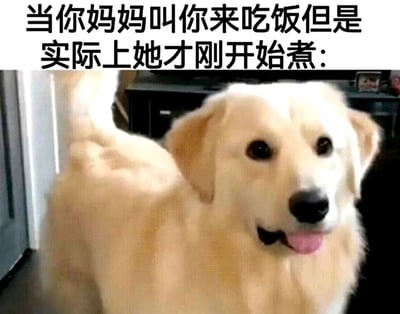 这是一张搞笑生活梗图，上方配有文字“当你妈妈叫你来吃饭但是实际上她才刚开始煮：”，下方是一只金毛犬的照片。狗狗吐着舌头，面部带着期待的神情，但身体部分因快速跑动而模糊，形象地还原了听到吃饭召唤就兴冲冲赶来，却发现饭还没做好，满怀期待落空又有点懵的状态，精准戳中了家庭生活里被提前喊吃饭的小乌龙场景，让人感同身受又觉得好笑。