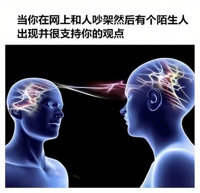 图片上方为黑色文字标题“当你在网上和人吵架然后有个陌生人出现并很支持你的观点”，下方是一张科学可视化风格的图像，展示两个蓝色半透明的人类头部侧面轮廓，彼此相对。两人脑部区域有发光的神经网络结构，并有一道红色与黄色交织的能量光束从左侧人物脑部射向右侧人物脑部，象征观点认同带来的精神共鸣或支持感。整体画面通过科技感的视觉元素，幽默地表现了网络争论中获得陌生人支持时的心理状态。