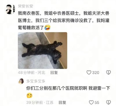该图片是社交媒体评论区截图，第一条评论由用户“常安长安”发布，称自身是南京农业大学兽医，姐姐是中国农业大学兽医硕士，姐夫是浙江大学兽医博士，三人共同给自家宠物狗诊断后判定已经没有救治希望，结果其母亲给狗灌了葡萄糖就将狗救活，评论附带了一张恢复后的黑色小狗四脚朝天躺在地面的照片；下方第二条评论是用户“多宝多宝多”的调侃回复，询问三名兽医分别在哪些医院就职，自己要进行避雷，还搭配了偷笑的表情，整体内容充满反差感和搞笑效果。