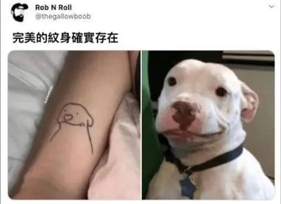图片为左右对比结构，左侧是一个人的手臂，上面有一个简单的线条纹身，图案是一只狗狗的脸部简笔画，线条流畅，主要勾勒出狗狗的眼睛、鼻子和嘴巴；右侧是一张真实狗狗的照片，这只白色狗狗有着与左侧纹身高度相似的面部表情，尤其是鼻子和嘴巴的形状几乎完美匹配，显得十分憨厚有趣。图片顶部有文字“完美的纹身確實存在”，通过纹身与真实狗狗表情的意外重合制造出幽默效果。