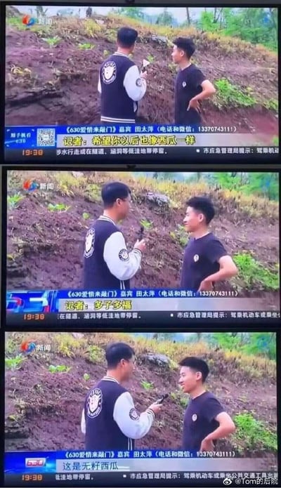 这是由三帧重庆新闻频道《630爱情来敲门》的采访截图组成的连环梗图，完整呈现了一段搞笑的对话翻车现场：
1. 第一帧：记者手持话筒，对着采访对象送上祝福：“希望你以后也像西瓜一样”；
2. 第二帧：记者补充明确祝福含义：“多子多福”；
3. 第三帧：采访对象笑着回复：“这是无籽西瓜”，直接打破记者的祝福逻辑，制造出强烈的反差搞笑效果。

**梗点说明**：记者利用“西瓜多籽（子）”的谐音，想祝福对方多子多福，却被采访对象用“无籽西瓜”的特点巧妙反怼，形成冷幽默的反转。