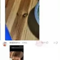 这是一张社交媒体平台的截图，上方是木质桌面上的两个类似小虫子的深色物体，旁边还有一个带蓝色边缘的容器；下方是该内容的社交平台展示区域，能看到发布者的头像、评论数0、点赞数2，整体是用户分享自己发现的桌面物品的社交动态截图。