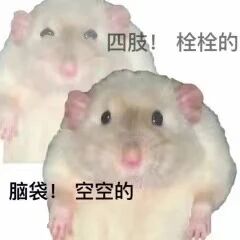 这是一张经过P图改编的文字加注上下对比图，画面由两只神态呆滞的仓鼠上下拼接而成，上方仓鼠的右侧配有文字‘四肢！栓栓的’，下方仓鼠的左侧配有文字‘脑袋！空空的’。图片通过动物的呆滞形象和直白的文字，生动调侃了人处于身体疲惫酸软、大脑一片放空的状态，精准贴合当代年轻人在工作、学习后或是摸鱼时的无力、疲惫情绪，是用来抒发这类日常情绪的搞笑表情包。