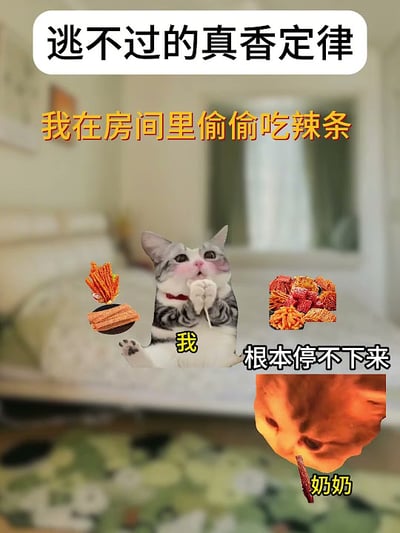 这是一张二创搞笑梗图，结合了“真香定律”经典 meme 和网络流行猫表情包。画面内容为一只拟人化表情的猫坐在卧室床上，手里拿着辣条偷吃（猫表情贪婪且小心翼翼），上方配字“逃不过的真香定律”，中间黄色加粗文字为“我在房间里偷偷吃辣条”。猫旁边摆放辣条图片，下方还有“根本停不下来”。右下角是一张奶奶偷吃辣条的图片并标注“奶奶”，增加代际反差和搞笑元素。

这张图用“真香”梗调侃了明知不能却依旧“偷吃”的自嘲心理。奶奶出镜部分让情境更具普世性，体现家庭成员难以抵御零食诱惑的事实，是典型的真香 meme 改编。

整体具有双关、反差和自嘲意味，用动物和生活桥段包装经典梗。未出现王境泽本人。