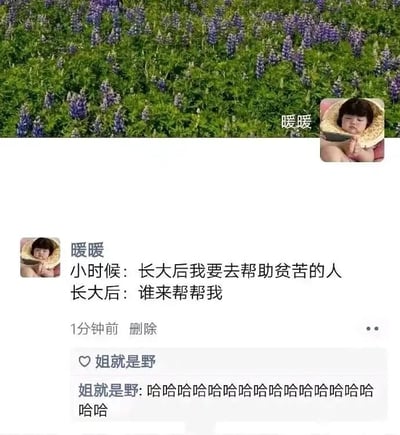 这是一张微信朋友圈的静态截图，顶部背景是一片开满紫色鲁冰花的绿色草地，右上角是发布者“暖暖”的头像，头像内容为一个双手捧着大碗、表情懵懂可爱的小孩。发布者“暖暖”发布的动态内容为“小时候：长大后我要去帮助贫苦的人 长大后：谁来帮帮我”，通过小时候的远大理想与长大后的现实状态形成强烈反差，以自嘲的方式抒发自己在生活中面临的疲惫与无力感，引发他人共鸣。下方有好友“姐就是野”的评论，内容为一连串的“哈哈哈哈”，表现出对这条动态内容的认同与捧腹大笑的反应。