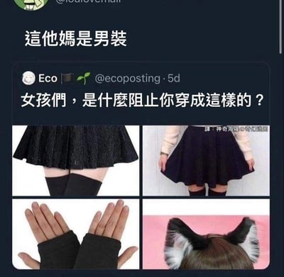 这是一张社交媒体截图类的梗图，整体呈现推特（X）界面的样式。下方是用户@ecoposting发布的推文，配文为“女孩们，是什么阻止你穿成这样的？”，并附带四张穿搭单品图：左上是百褶裙搭配过膝袜，右上是另一条百褶裙搭配过膝袜，左下是黑色露指手套，右下是带有黑白猫耳的假发。在推文的上方，有其他用户的评论“这他妈是男装”，将原本面向女生的穿搭提问彻底反转——这些看起来充满软萌、女性化风格的单品实际上被归类为男装，形成强烈的认知反差，制造出搞笑的效果。图中还有译者标注“译：神奇海獭の奇幻迷因”，说明这是经过繁体转简体翻译后，在中文网络传播的内容。