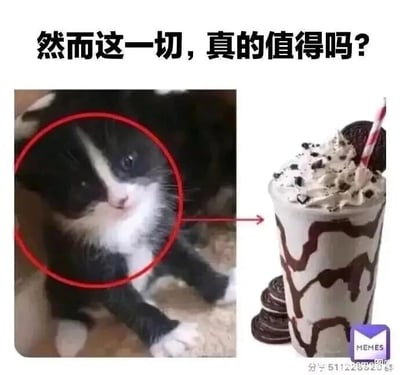 这是一张左右对比的静态搞笑梗图，左侧是一只趴在地面上的黑白花色小猫，它脸部的白色纹路与黑色毛发的搭配，和右侧的奥利奥奶昔外观高度相似——这杯奶昔顶部覆盖着奶油、奥利奥碎和整块奥利奥饼干，杯身还淋有巧克力酱。图片上方配有文字‘然而这一切，真的值得吗？’，以戏谑的口吻仿佛在调侃这只小猫‘为了变成这杯奶昔付出了什么’，通过外观的高度相似制造出荒诞又搞笑的趣味效果，让观众在联想中感受到轻松的幽默感。