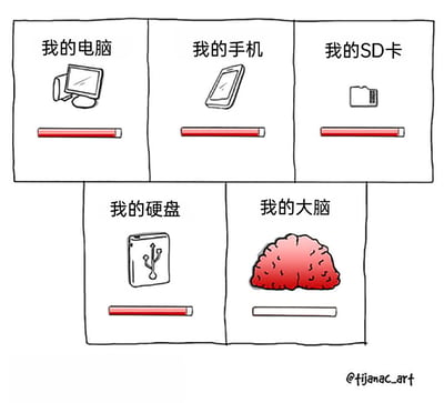 这是一幅充满自嘲意味的手绘卡通漫画，画面分为五个区域，分别对应“我的电脑”“我的手机”“我的SD卡”“我的硬盘”和“我的大脑”。其中前四个区域里的存储设备下方的容量条都呈现接近填满的红色状态，而“我的大脑”区域里，大脑图案下方的容量条却是完全空白的白色状态。漫画通过这种强烈的反差，幽默地调侃了当代人各类电子存储设备都被内容塞满，但自己的大脑却像没有存储任何内容一样，记性差、脑子里空空的状态，很容易引发人们的共鸣。
