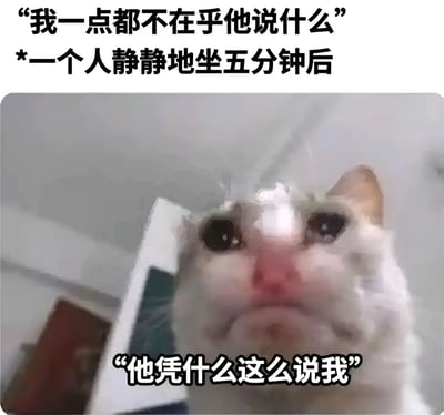 图片上方文字写着“我一点都不在乎他说什么”，中间是一只表情委屈的猫咪特写，下方文字为“*一个人静静地坐五分钟后*”和“他凭什么这么说我”。通过前后文字对比，幽默地展现了嘴上说不在乎，内心却十分在意他人评价的矛盾心理，猫咪的委屈表情进一步强化了这种反差感。