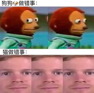 图片通过上下分区对比狗狗和猫咪做错事时的不同反应。上方“狗狗🐶做错事：”标题下，是两张红毛木偶角色的特写，该角色有着橙红色毛发、圆睁的大眼睛和微张的嘴巴，呈现出明显的惊讶与心虚表情；下方“猫做错事：”标题下，则是三张同一男子的面部特写，男子表情全程保持面无表情、眼神直视前方，毫无波澜。通过这种夸张的表情反差，幽默展现了大众认知中“狗狗犯错会心虚”与“猫咪犯错无所谓”的宠物性格差异。