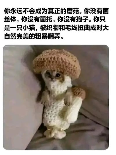这张图片展示了一只穿着钩针编织蘑菇服装的小猫，上方配有讽刺性文字，否定小猫的'蘑菇身份'，指出其缺乏菌丝体、菌托等蘑菇特征，只是被织物扭曲的小猫。图片通过拟人化的吐槽和可爱的造型形成反差，营造出幽默搞笑的效果，常用于社交媒体分享。
