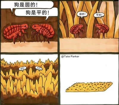 这是一幅四格连环漫画：第一格中两只红色跳蚤面对面激烈争吵，一只喊出“狗是圆的！”，另一只立刻反驳“狗是平的！”；第二格镜头拉远，能看到两只跳蚤身处类似狗毛的黄色凸起结构上，仍在重复“圆的！”“平的！”争论；第三格镜头进一步拉远，视野里充满了这类黄色凸起，两只跳蚤的争论还在持续；第四格揭晓真相，它们所在的根本不是狗，而是一片带有密集小凸起的玉米片，两只跳蚤因为身处玉米片的不同位置，产生了对“宿主”形状的错误认知，用荒诞的认知局限制造出幽默效果。