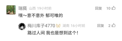 这是一张横版的社交媒体评论区截图，展示了两条网友的互动评论内容。第一条评论来自IP归属地为山西、网名为“瑞蕤”的用户，发布于19小时前，内容为“嘿～意不意外 郁可唯的”，该评论获得了10个点赞；第二条评论来自IP归属地为湖南、网名为“梅川库子4770”的用户，发布于16小时前，内容为“路过人间 我也是想到这个！”，获得了2个点赞。两条评论围绕歌手郁可唯的代表作《路过人间》展开，体现了网友在相关话题下对这首歌曲的共鸣。