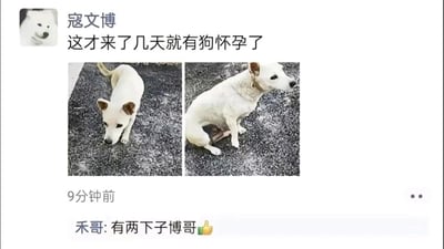 暂无描述